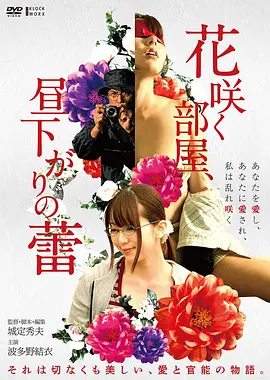 光影画廊 折角经典